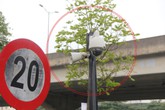 “Xe dù, bến cóc” sắp hết đất sống nhờ công nghệ 4.0? “Xe dù, bến cóc” sắp hết đất sống nhờ công nghệ 4.0?