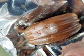 Ngộ độc vì ăn bánh Choco-Pie nghi nấm mốc Ngộ độc vì ăn bánh Choco-Pie nghi nấm mốc