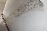 Nấm mốc trong nhà có những màu sắc này thì phải xử lý càng nhanh càng tốt, đừng để hỏng nhà và hại cả sức khỏe Nấm mốc trong nhà có những màu sắc này thì phải xử lý càng nhanh càng tốt, đừng để hỏng nhà và hại cả sức khỏe