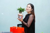 Thanh Thúy mang bầu lần hai sau nhiều năm trông ngóng Thanh Thúy mang bầu lần hai sau nhiều năm trông ngóng