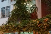 Tòa án buộc thương binh trả nhà cho doanh nghiệp ở TP.HCM: Không có chủ quyền sao khởi kiện? Tòa án buộc thương binh trả nhà cho doanh nghiệp ở TP.HCM: Không có chủ quyền sao khởi kiện?