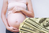 Vụ mang thai hộ xuyên Quốc gia: Tiền tỷ vào túi ai? Vụ mang thai hộ xuyên Quốc gia: Tiền tỷ vào túi ai?