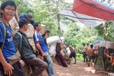 Xâm nhập đường dây “đánh” hàng lậu miền biên viễn Lạng Sơn Xâm nhập đường dây “đánh” hàng lậu miền biên viễn Lạng Sơn