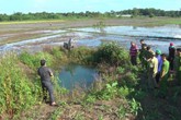 Bình Phước: Phát hiện thi thể phụ nữ dưới ao nước Bình Phước: Phát hiện thi thể phụ nữ dưới ao nước
