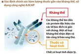 Dược phẩm sinh học – một trong những bước phát triển của y học trong điều trị ung thư Dược phẩm sinh học – một trong những bước phát triển của y học trong điều trị ung thư