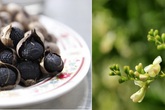 Cứu trái tim phải dùng tỏi đen, hoa hòe theo đúng cách sau Cứu trái tim phải dùng tỏi đen, hoa hòe theo đúng cách sau
