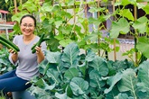 Gia đình miền núi làm vườn sân thượng kiểu châu Âu Gia đình miền núi làm vườn sân thượng kiểu châu Âu