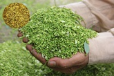Giải pháp hỗ trợ điều trị huyết áp cao Giải pháp hỗ trợ điều trị huyết áp cao