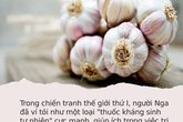 Tỏi là “thuốc kháng sinh tự nhiên” được cả thế giới trân trọng nhưng 7 nhóm người này thì cần phải tuyệt đối tránh Tỏi là “thuốc kháng sinh tự nhiên” được cả thế giới trân trọng nhưng 7 nhóm người này thì cần phải tuyệt đối tránh