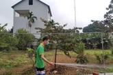 Sự hồi sinh kỳ diệu của bệnh nhân được ghép phổi thứ hai ở Việt Nam Sự hồi sinh kỳ diệu của bệnh nhân được ghép phổi thứ hai ở Việt Nam