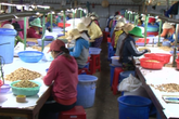 Ninh Thuận: Những hướng đi đúng đắn trong công tác giải quyết việc làm cho người lao động Ninh Thuận: Những hướng đi đúng đắn trong công tác giải quyết việc làm cho người lao động