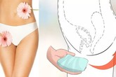 Trời nồm, chị em quen vệ sinh vùng kín theo những cách này vô cùng nguy hiểm Trời nồm, chị em quen vệ sinh vùng kín theo những cách này vô cùng nguy hiểm