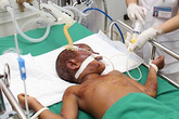 Ngã khi ngủ quên trên lưng trâu, bé gái bị kéo lê về tận nhà Ngã khi ngủ quên trên lưng trâu, bé gái bị kéo lê về tận nhà