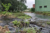 Huyện Thạch Thành, Thanh Hóa: Dân hoang mang vì hàng nghìn khối rỉ mật chảy tràn ra môi trường sống Huyện Thạch Thành, Thanh Hóa: Dân hoang mang vì hàng nghìn khối rỉ mật chảy tràn ra môi trường sống
