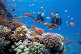 Nghỉ lễ 30/4- 1/5: tận hưởng bữa tiệc mùa hè ngoạn mục tại Sun World Hon Thom Nature Park Nghỉ lễ 30/4- 1/5: tận hưởng bữa tiệc mùa hè ngoạn mục tại Sun World Hon Thom Nature Park