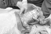 'Con được cứu sống rồi, nhưng mẹ con bỏ con đi nơi đâu?' 'Con được cứu sống rồi, nhưng mẹ con bỏ con đi nơi đâu?'