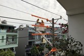 Tổng công ty Điện lực miền Bắc: Đạt và vượt nhiều chỉ tiêu sản xuất, kinh doanh nửa đầu năm 2019 Tổng công ty Điện lực miền Bắc: Đạt và vượt nhiều chỉ tiêu sản xuất, kinh doanh nửa đầu năm 2019