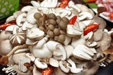 Nấm tươi đón tháng cô hồn tràn ngập thị trường và đắt khách Nấm tươi đón tháng cô hồn tràn ngập thị trường và đắt khách