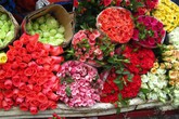 Những loài hoa tài lộc, may mắn đắt hàng nhất mùa Vu lan Những loài hoa tài lộc, may mắn đắt hàng nhất mùa Vu lan