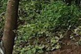 Bình Phước: Mưa lớn nhiều ngày phá hủy hoàn toàn cầu dây, nhiều ngôi nhà bị chìm sâu trong biển nước Bình Phước: Mưa lớn nhiều ngày phá hủy hoàn toàn cầu dây, nhiều ngôi nhà bị chìm sâu trong biển nước
