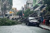 Cột điện gãy đè trúng xe đưa đón Bí thư Thành ủy Vị Thanh Cột điện gãy đè trúng xe đưa đón Bí thư Thành ủy Vị Thanh