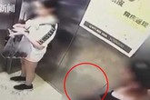 Cô gái 20 tuổi sống độc thân bị người đàn ông lạ mặt hù dọa trong thang máy phải dọn đi sau 2 năm thuê nhà Cô gái 20 tuổi sống độc thân bị người đàn ông lạ mặt hù dọa trong thang máy phải dọn đi sau 2 năm thuê nhà