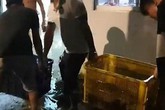 Xe tải lật ngang, gần 3 tấn cá rô bò lổn nhổn trên quốc lộ Xe tải lật ngang, gần 3 tấn cá rô bò lổn nhổn trên quốc lộ