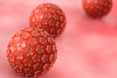 Sốc vì con học mẫu giáo đã nhiễm virus có thể gây ung thư và thường lây qua đường tình dục Sốc vì con học mẫu giáo đã nhiễm virus có thể gây ung thư và thường lây qua đường tình dục