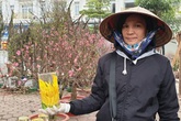 Bỏ cửa hàng tạp hóa ế ẩm, tiểu thương tranh thủ lên Thủ đô bán hoa Tết Bỏ cửa hàng tạp hóa ế ẩm, tiểu thương tranh thủ lên Thủ đô bán hoa Tết