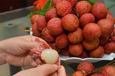 Ngoài rượu, bia, "chỉ mặt" những loại hoa quả, thực phẩm có nồng độ cồn vượt ngưỡng Ngoài rượu, bia, "chỉ mặt" những loại hoa quả, thực phẩm có nồng độ cồn vượt ngưỡng