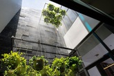 Nhà phố với nội thất hiện đại và không gian giếng trời xanh mát Nhà phố với nội thất hiện đại và không gian giếng trời xanh mát