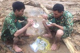 Lực lượng cứu hộ vụ sạt lở thủy điện Rào Trăng 3: Dùng sức người cuốc từng mảnh đất tìm kiếm người gặp nạn, bữa cơm vội vàng trong những bịch nilon Lực lượng cứu hộ vụ sạt lở thủy điện Rào Trăng 3: Dùng sức người cuốc từng mảnh đất tìm kiếm người gặp nạn, bữa cơm vội vàng trong những bịch nilon