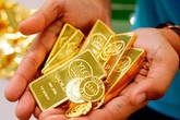 Giá vàng hôm nay 20/10: Biến động mạnh Giá vàng hôm nay 20/10: Biến động mạnh