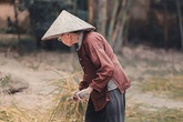 Thâm cung bí sử (221 - 1): Lưng áo nâu của mẹ Thâm cung bí sử (221 - 1): Lưng áo nâu của mẹ