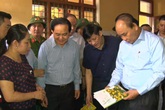 Thủ tướng chính phủ thăm và kiểm tra công tác khắc phục hậu quả mưa lũ tại Quảng Bình Thủ tướng chính phủ thăm và kiểm tra công tác khắc phục hậu quả mưa lũ tại Quảng Bình