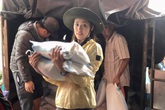 Hoa hậu hoàn vũ Việt Nam chung tay hỗ trợ cộng đồng, khắc phục thiên tai bão lũ Hoa hậu hoàn vũ Việt Nam chung tay hỗ trợ cộng đồng, khắc phục thiên tai bão lũ