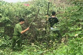 Hà Nội: Trắng đêm lật từng bụi cỏ tìm nữ sinh mất tích bí ẩn Hà Nội: Trắng đêm lật từng bụi cỏ tìm nữ sinh mất tích bí ẩn