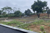 Đầu tư đất ở khu vực Tây Hà Nội, cứ "om" 2 tháng là lời 4 giá? Đầu tư đất ở khu vực Tây Hà Nội, cứ "om" 2 tháng là lời 4 giá?