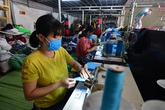 Dịch COVID-19 khiến tỷ lệ thất nghiệp quý III/2020 cao nhất trong vòng 10 năm qua Dịch COVID-19 khiến tỷ lệ thất nghiệp quý III/2020 cao nhất trong vòng 10 năm qua