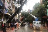 Ngành điện miền Bắc thiệt hại nặng do mưa đá, giông lốc đêm 2/3/2020 và ngày 3/3/2020 Ngành điện miền Bắc thiệt hại nặng do mưa đá, giông lốc đêm 2/3/2020 và ngày 3/3/2020