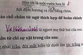 Hỏi người mẹ thứ hai của em là ai, học sinh lớp 1 có đáp án đi vào lòng người Hỏi người mẹ thứ hai của em là ai, học sinh lớp 1 có đáp án đi vào lòng người