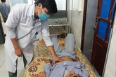 Rủ nhau vào rừng hái nấm về ăn, 4 người nhập viện cấp cứu Rủ nhau vào rừng hái nấm về ăn, 4 người nhập viện cấp cứu