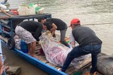 Điều tra vụ thi thể có vết đâm trôi trên sông Điều tra vụ thi thể có vết đâm trôi trên sông