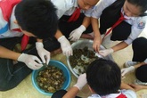 'Nước chấm cua đồng' thành ý tưởng khởi nghiệp của học sinh lớp 8 'Nước chấm cua đồng' thành ý tưởng khởi nghiệp của học sinh lớp 8