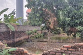 Hải Phòng: Hỗn chiến khi tranh chấp đất đai, 1 người chết, nhiều người bị thương Hải Phòng: Hỗn chiến khi tranh chấp đất đai, 1 người chết, nhiều người bị thương