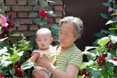 Hiểu biết sai lầm khi nuôi con trẻ khiến bố mẹ đau lòng vì con phải trả giá (P3) Hiểu biết sai lầm khi nuôi con trẻ khiến bố mẹ đau lòng vì con phải trả giá (P3)