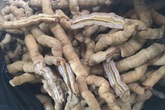 Chuyên gia lên tiếng vụ rượu Ba kích gây cương dương 30 tiếng đồng hồ Chuyên gia lên tiếng vụ rượu Ba kích gây cương dương 30 tiếng đồng hồ