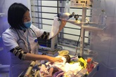 Telehealth: Hồi hộp chờ đợi bé sơ sinh thứ 1.000 chào đời nhờ thụ tinh trong ống nghiệm ở Thái Nguyên Telehealth: Hồi hộp chờ đợi bé sơ sinh thứ 1.000 chào đời nhờ thụ tinh trong ống nghiệm ở Thái Nguyên