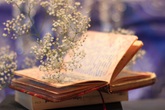 Thâm cung bí sử (222 - 4): Bài thơ cuối cùng Thâm cung bí sử (222 - 4): Bài thơ cuối cùng