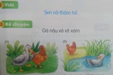 Thêm sách giáo khoa tiếng Việt lớp 1 bị “chê” một số ngữ liệu “có vấn đề” Thêm sách giáo khoa tiếng Việt lớp 1 bị “chê” một số ngữ liệu “có vấn đề”
